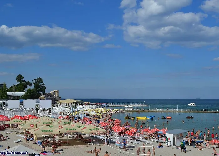 In Arcadia Vip * Одесса